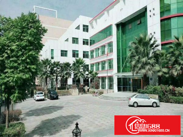 坪山新区6000平方红本独院厂房