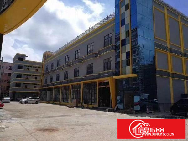 龙岗中心城东进1号文化示范产业园出租大小分租