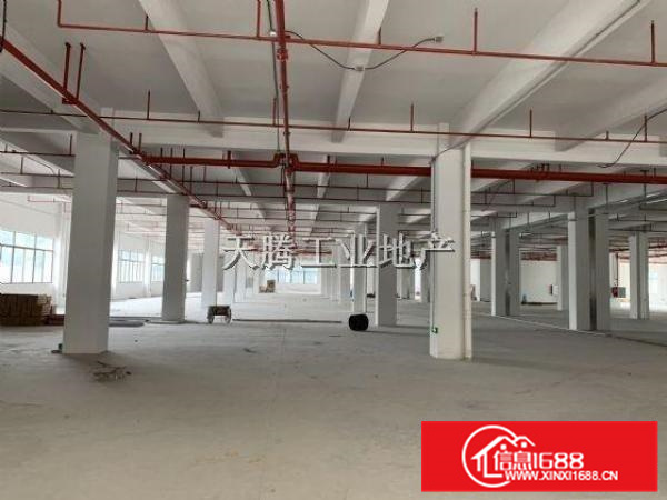 笋容桂全新厂房出租首层6000方