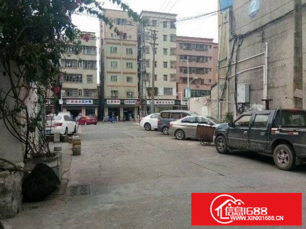 布吉新三村一楼500平带装修办公室厂房出租