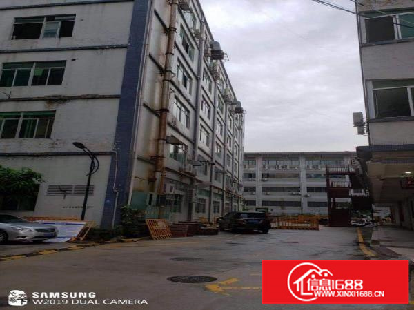 出租坂田布龙路格泰隆工业区B栋5楼2300平方，可分租