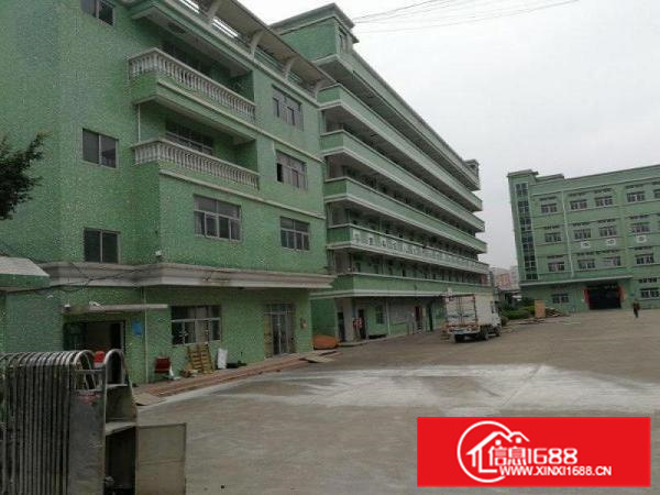 惠阳新圩原业主独院标准厂房13000平米出租