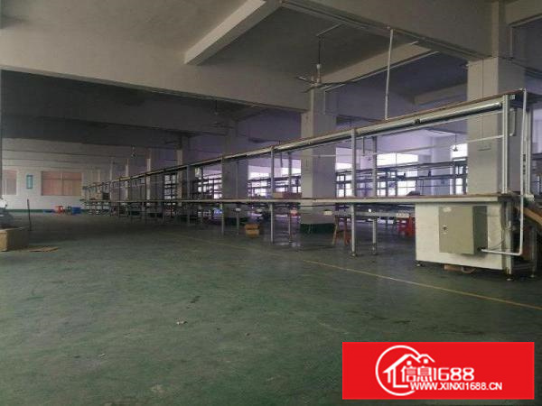 惠阳新圩一楼标准楼房500平方米