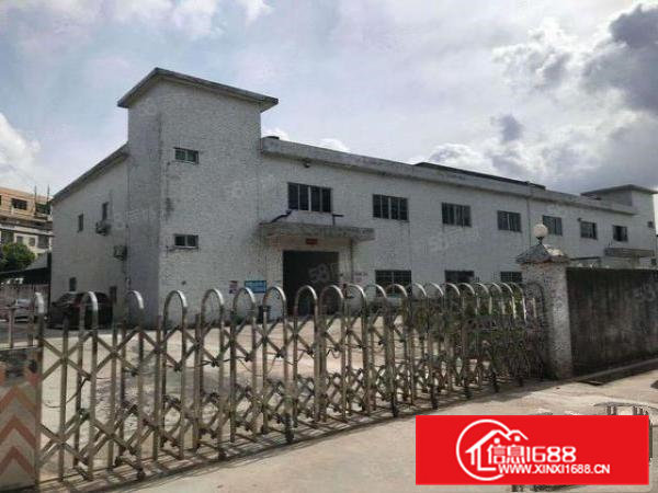 桥头镇标准独院！厂房出租总面积4250平方，宿舍办公配套齐全