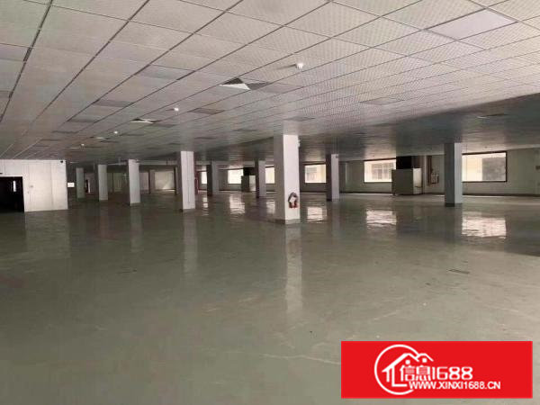 带红本证件齐全清溪花园式独院厂房出租大小分租近高速口