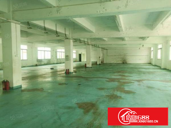 长安镇涌头原房东独院厂房13楼4500平方低价出租无公摊