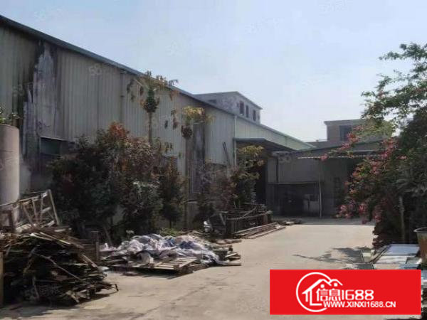 东坑镇可做小污染厂房860平方招租无居民