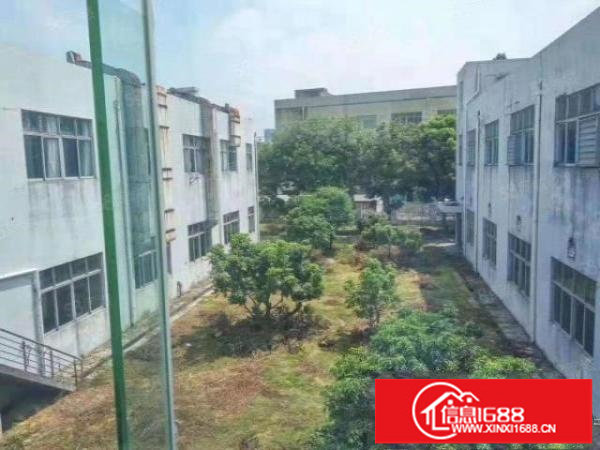 平湖辅城坳工业区原房东独院5626平厂房出租也可分租带牛角。