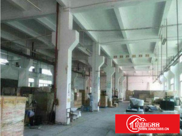 坪山深汕路旁1050平方一楼标准厂房出租价格便宜