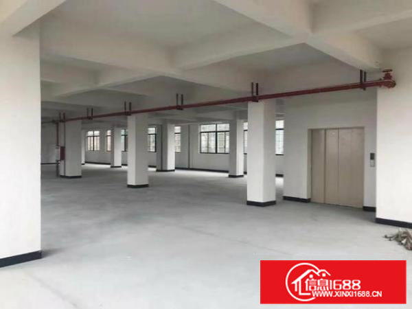 常平全新厂房大小分租价格9.9元起