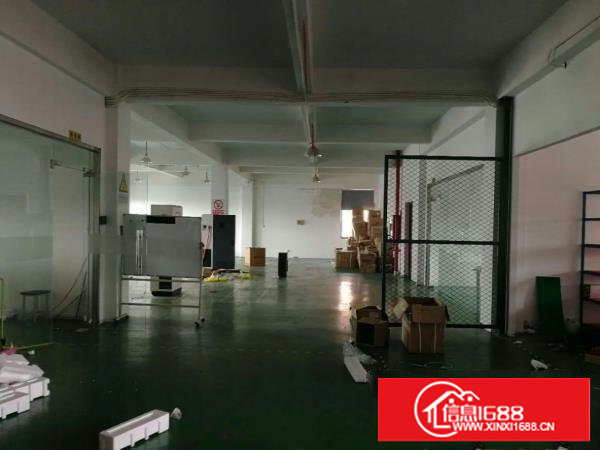 塘厦石鼓新出楼上500平带电梯，地坪漆精装，无公摊