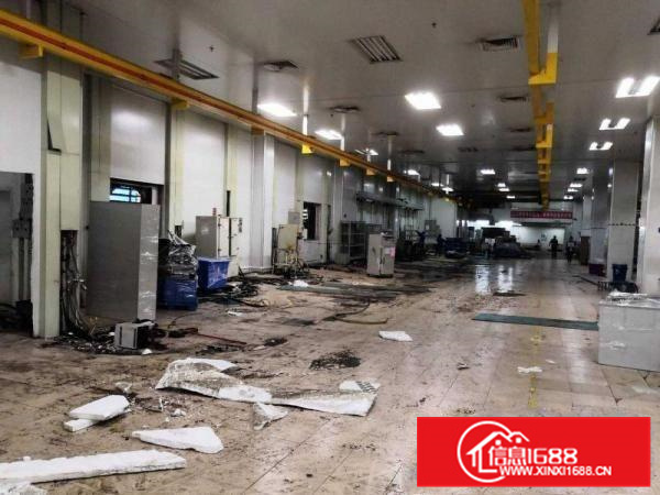 出租惠阳镇隆一楼600平带装修厂房