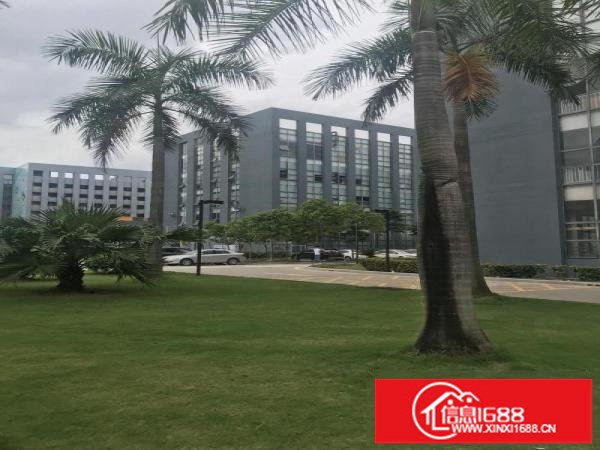 坂田华为独栋厂房5000平方可分租