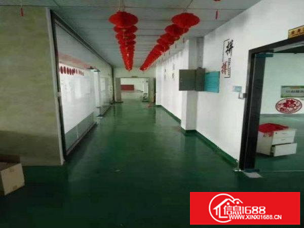 上雪科技园楼上1500平实用高带简单装修出租