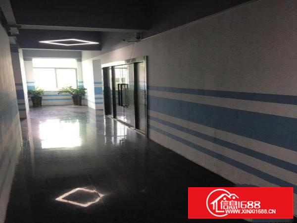 坂田岗头市场附近？环境优美！交通便利！