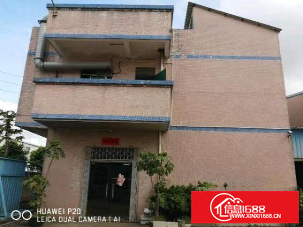 独门独院单一层原房东