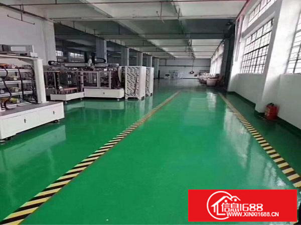 龙岗独院1100一楼分租有电梯，精装修。带办公室