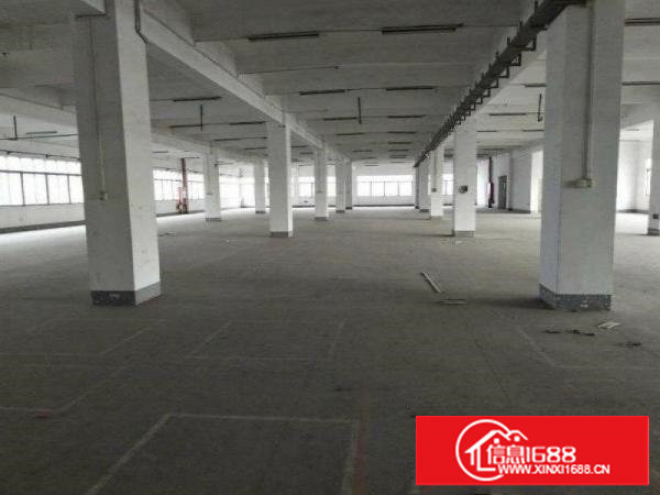 龙背岭原房东,无摊标准1200,带装修,蛟乙塘六千