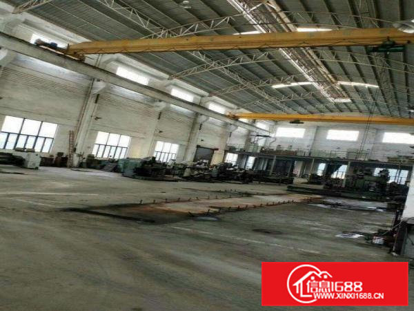 临深片区原房东独院单一层6000平米滴水8米，带行车厂房