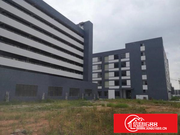 惠州市惠城区水口镇工业区超低价现成线路板原房东厂房出租