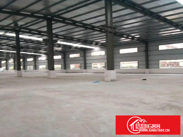 常平新出原房东9米高钢构厂房出租