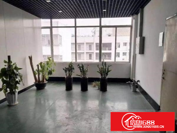 龙华大浪新百丽原房东1200平办公厂房出租，全新精装修