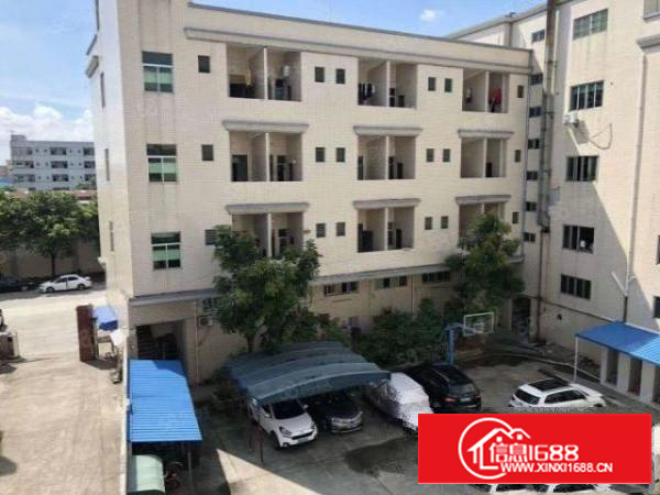 新出石排经典独院标准厂房5200宿舍1800带行车