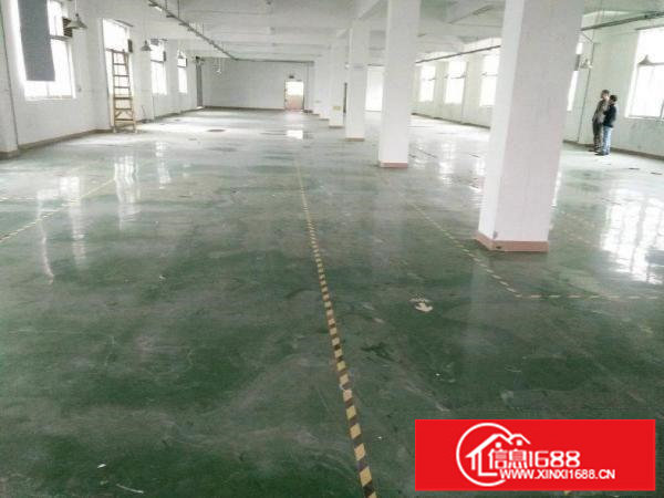 平湖鹅公岭村委富民工业区二楼1300平急租