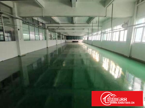 大朗镇新出原房东独院6000平方厂房出租