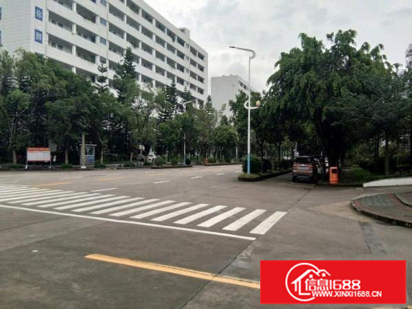 惠环平南天好工业园分租一楼标准厂房1350出租