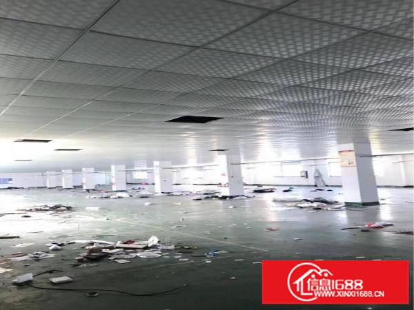 横岗新出楼上2000平方带装修厂房出租