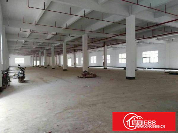 秋长工业园标准一楼2500平方带喷淋火爆招租