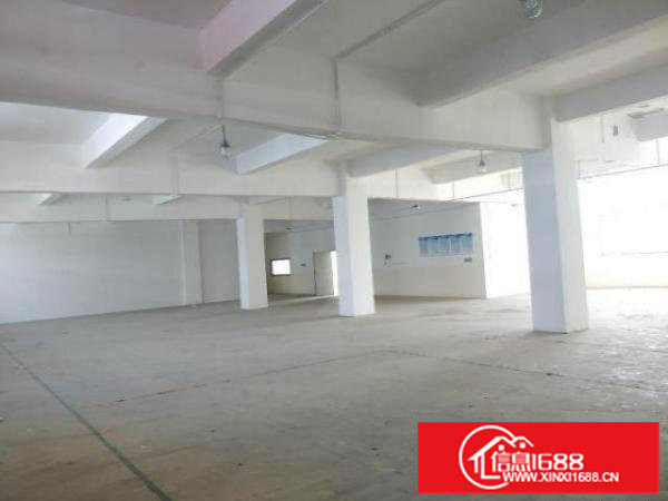 出租龙岗区厂房仓库一手房东