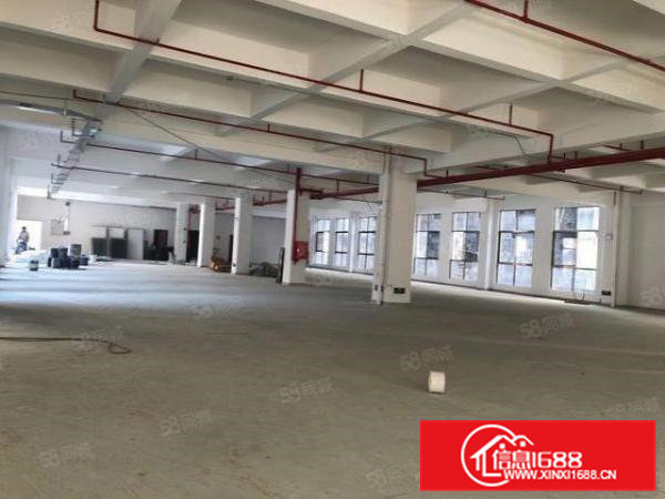 金凤凰无公摊原房东厂房出租楼上1850平方