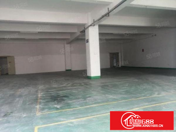 观澜桂花新出一楼540平方原房东厂房出租