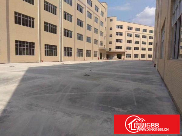 横岗独院厂房出租8000平方可以分租