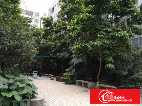 观光路边梅观高速出口花园式工业区1180平米出租