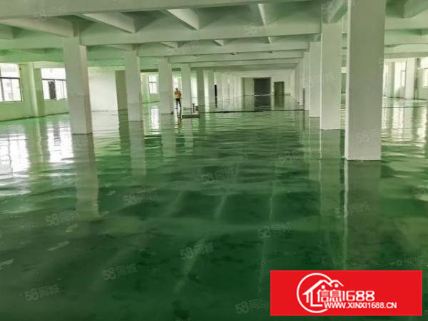 凤岗金凤凰带精装二楼2500平方厂房仓库出租