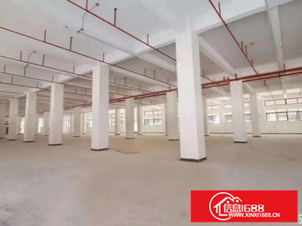 佛山顺德乐从独门独院可分租厂房便宜招租。