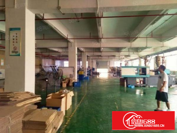 石碣桔州独院厂房7500方（可分租空地大好办环评）