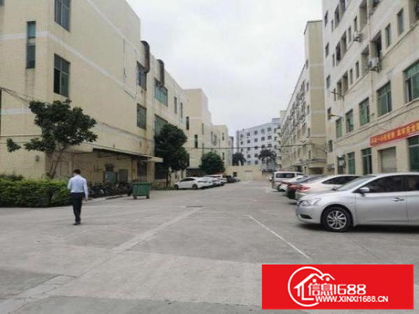 大布头1楼厂房2500平方租30一平