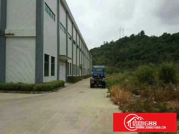 12米高钢结构厂房出租，9000平米，可以分租