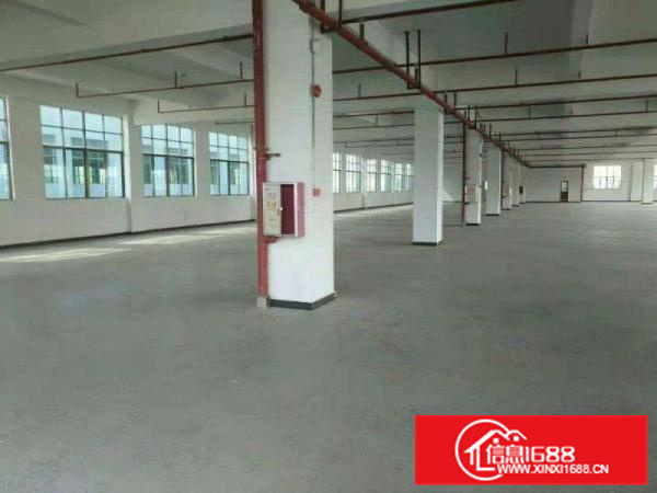 10元！惠州惠阳主干道边独栋厂房6500平米出租。