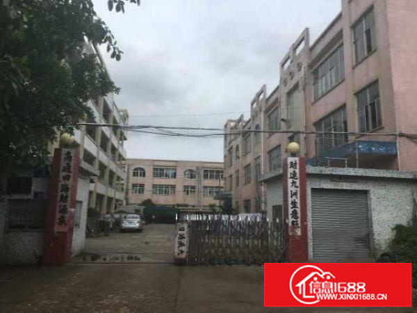 出租坪山区坑梓金沙1200平方米闲置厂房