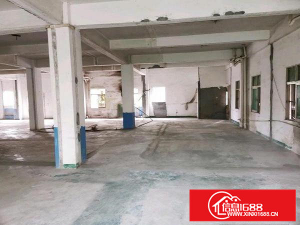 大朗石厦优质厂房出租