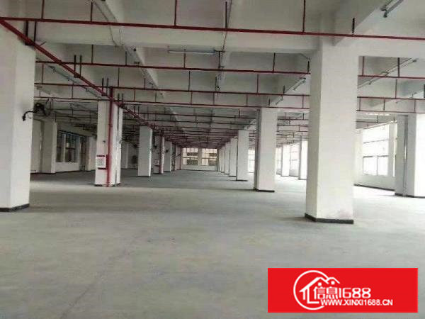 长安涌头全新厂房18000平方首层高6米大小可分