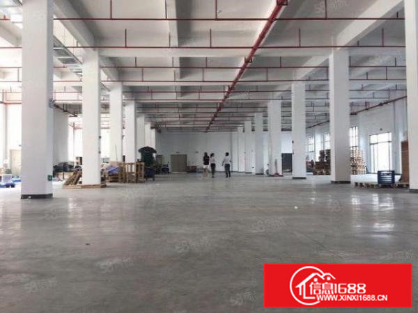 清溪荔横新出原房东一楼2000平方可分租