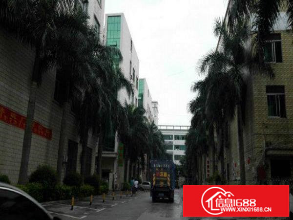 龙泉工业区新出一楼560平带简单装修低价出租