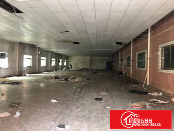 横沥镇单一层滴水6米高特惠价7块1000平招租