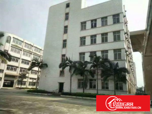 今日更新石排工业园厂房出租大小分租